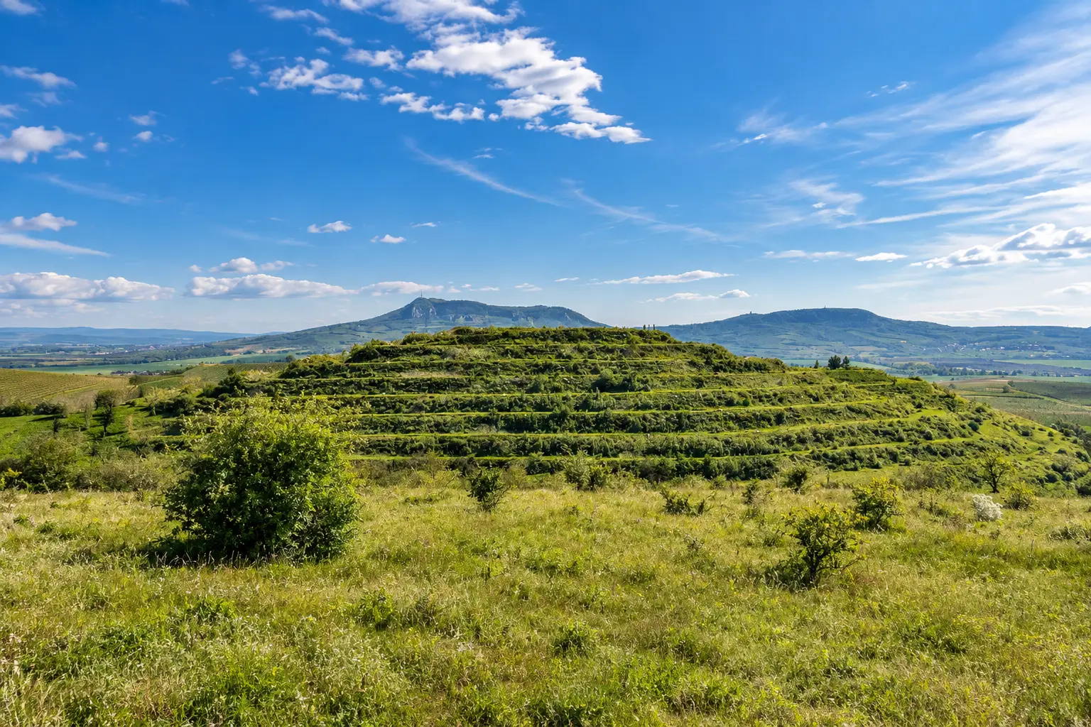 Dunajovické kopce – tichá stepní krajina pod Pálavou